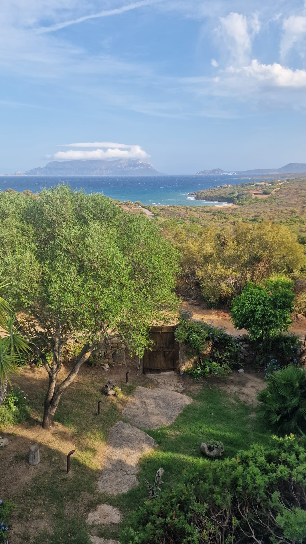 Garten mit Meerblick und Insel