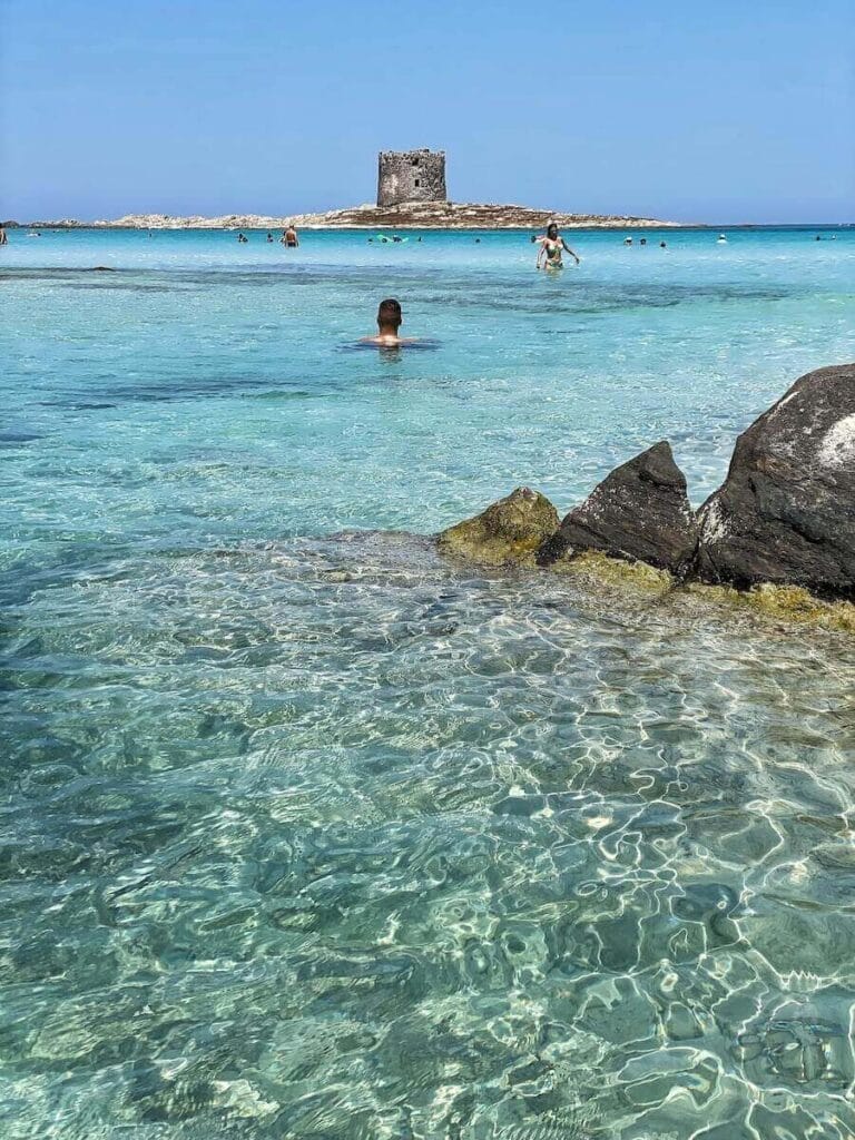 La Pelosa