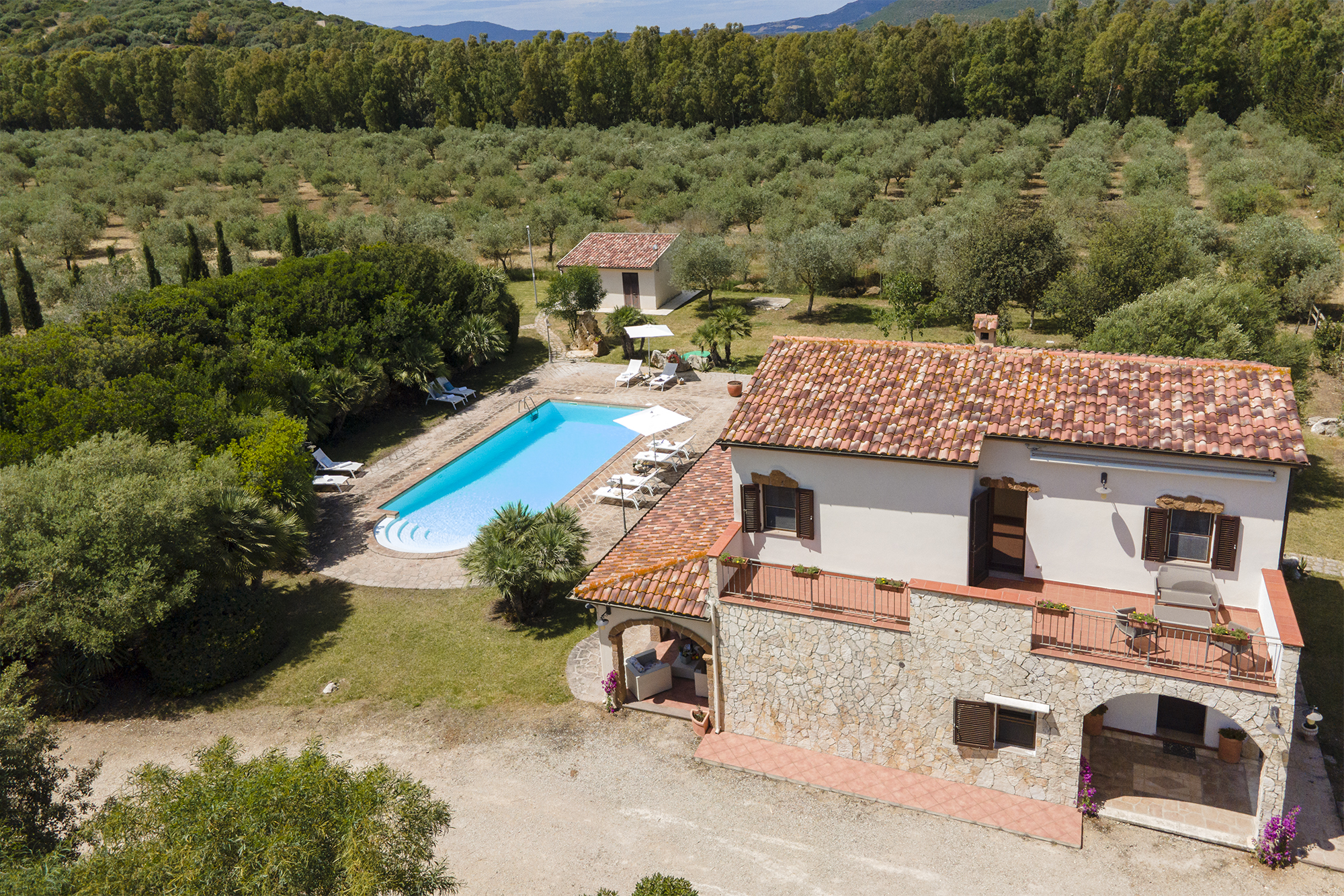 Villa L'Ulivo Panorama Olivenhain